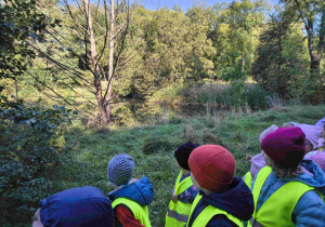 Dzieci oglądają i porównują wygląd drzew.