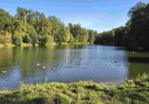 Widok na staw podczas spaceru.