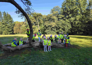 Zdjęcie grupowe dzieci na pniu drzewa.