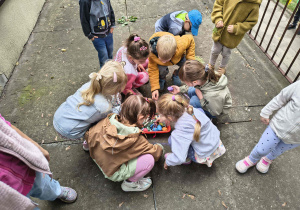 Dzieci rysują kredą na chodniku.