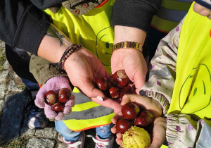 Dzieci oglądają i dotykają znalezione skarby.