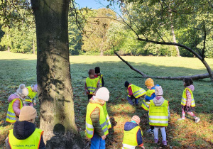 Dzieci zbierają kasztany, żołędzie, kolorowe liście.
