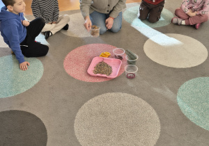 Prezentacja różnych darów natury przez nauczyciela.