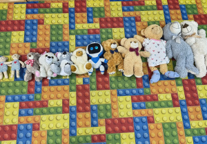 Pluszowe misie ułożone na dywanie od najmniejszego do największego.