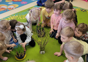 Dzieci oglądają szafirki.