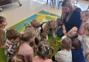 Dzieci obserwują jak nauczycielka podlewa kwiatki.