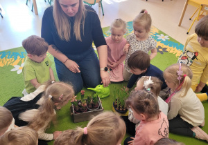 Rozmowy z dziećmi na temat wyglądu hiacyntów.