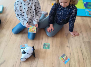 Sówki na zajęciach z robotyki w Szkole Podstawowej nr 101