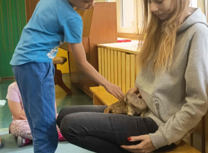 Odlotowe pokazy w grupie Sówek