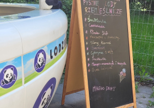 Prezentacja dostępnych smaków lodów.